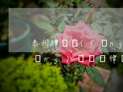 泰州律師經(jīng)濟糾紛(泰州經(jīng)濟糾紛律師咨詢)