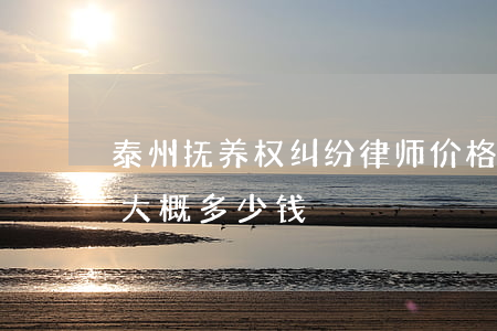 泰州抚养权纠纷律师价格(抚养权变更请律师大概多少钱)