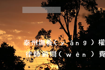 泰州撫養(yǎng)權(quán)糾紛律師顧問(wèn)費(fèi)(泰州律師收費(fèi)標(biāo)準(zhǔn))