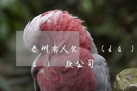 泰州有人欠萬達(dá)貸嗎(泰州萬達(dá)貸款公司)