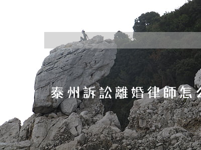 泰州訴訟離婚律師怎么收費