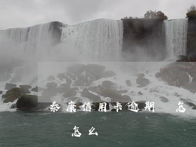 泰康信用卡逾期會怎樣(信用卡逾期三天還款會怎么樣)