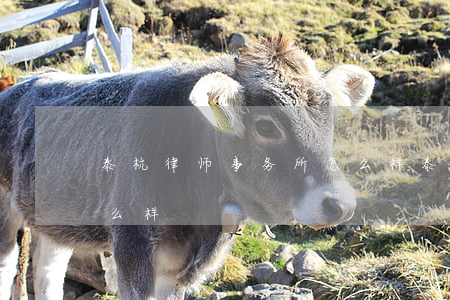 泰杭律师事务所怎么样(泰和泰律师事务所怎么样)