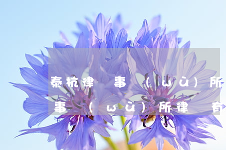 泰杭律師事務(wù)所怎么樣(泰和泰律師事務(wù)所律師有哪些)