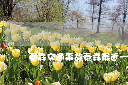 泰森交通事故(泰森最近一場比賽)