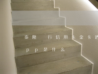 泰隆銀行信用卡金卡透支(泰隆銀行信用卡app是什么)
