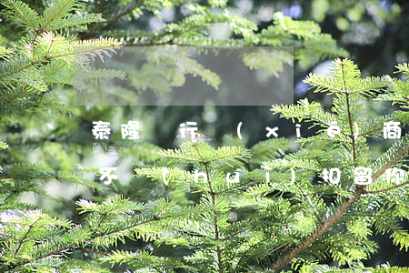 泰隆銀行協(xié)商還款會(huì)不會(huì)扣留你啊