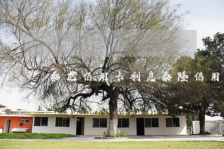 泰龙信用卡利息(泰隆信用卡)
