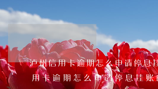 泸州信用卡逾期怎么申请停息挂账-泸州信用卡逾期怎么申请停息挂账的