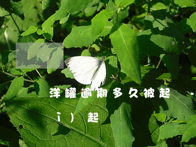 洋罐逾期多久被起訴-洋錢罐真的會(huì)起訴嗎
