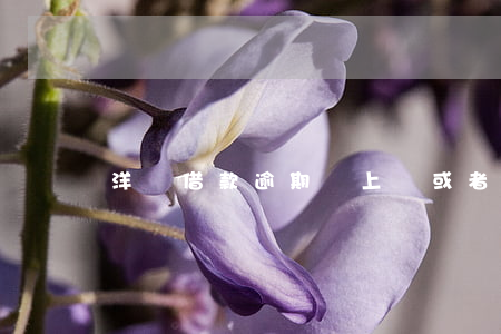 洋錢借款逾期會上門或者上法院嗎