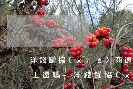 洋錢罐協(xié)商還款能要求在APP上還嗎-洋錢罐協(xié)商還款能要求在app上還嗎安全嗎