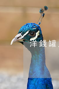 洋錢罐只還本金 洋錢罐利息太高把本金還了