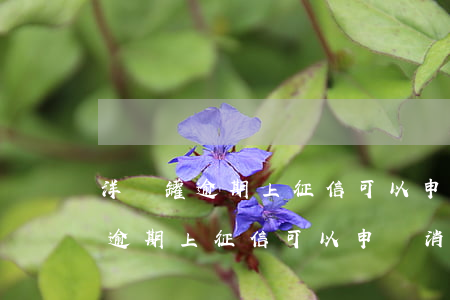 洋錢罐逾期上征信可以申請消除嗎-洋錢罐逾期上征信可以申請消除嗎
