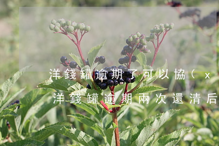 洋錢罐逾期了可以協(xié)商還款嗎-洋錢罐逾期兩次還清后還能再下款嗎?