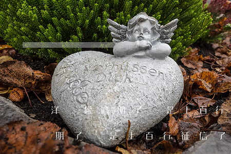 洋錢罐逾期了說是上百行征信了-洋錢罐逾期了說是上百行征信了,怎么辦