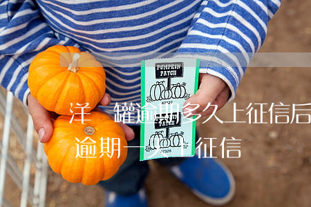 洋錢罐逾期多久上征信?后果有多嚴重?（洋錢灌逾期一天上征信嗎）