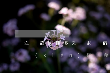 洋錢罐逾期多久會起訴借款 洋錢罐有過逾期,現(xiàn)在還完了,還可以在借出來嗎