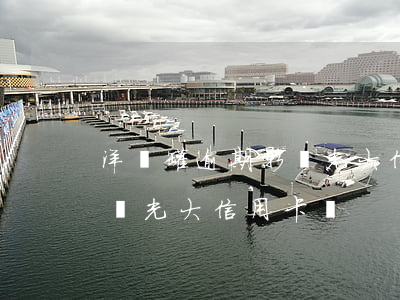 洋錢罐逾期影響光大信用卡嗎(洋錢罐逾期影響光大信用卡嗎)