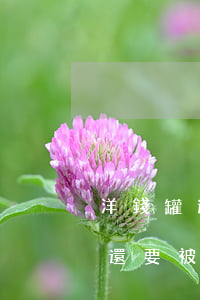 洋錢罐逾期給我發(fā)律師函(洋錢罐不還要被催多久)