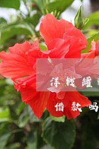 洋钱罐逾期两次还款(洋钱罐没还完可以重复借款吗)
