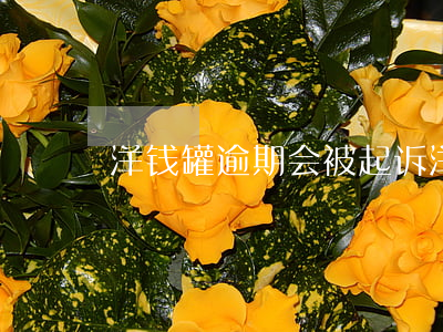 洋钱罐逾期会被起诉 洋钱罐说要起诉