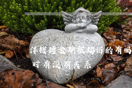 洋钱罐逾期被起诉的有吗 洋钱罐逾期几个小时有没有关系