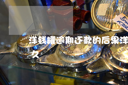 洋钱罐逾期还款的后果(洋钱罐一般能逾期多久)