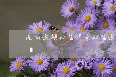 洗白逾期征信消除(征信逾期黑名單可以洗白嗎)