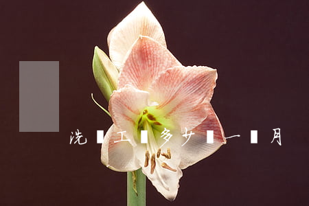 洗車工資多少錢一個月