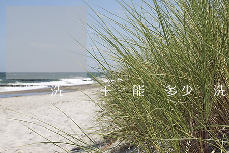 洗錢一千萬能賺多少錢(洗錢1千萬判幾年)