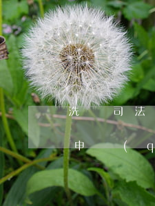 洗錢司法凍結(jié)銀行卡需要去銀行申請(qǐng)解凍嗎(涉及洗錢銀行卡凍結(jié)了什么時(shí)候可以解除)