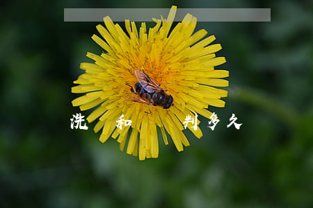 洗錢和詐騙判多久