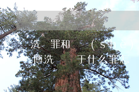 洗錢罪和開設(shè)賭場哪個嚴重點(賭博洗錢屬于什么罪怎樣量刑)