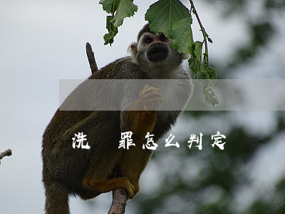 洗錢罪怎么判定