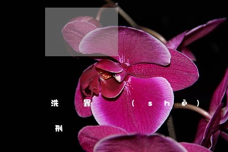 洗錢罪開設(shè)賭場罪(賭博洗錢罪量刑)
