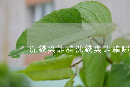 洗錢與詐騙(洗錢與詐騙,哪個量刑重)