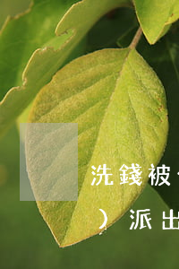 洗錢被公安說是盜竊(被懷疑洗錢進(jìn)派出所)