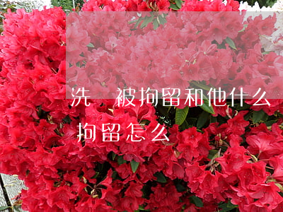 洗錢被拘留和他什么關系有罪(因洗錢被刑事拘留怎么辦)