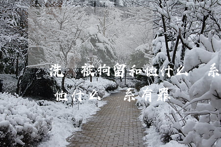洗錢被拘留和他什么關系有罪(洗錢被拘留和他什么關系有罪)