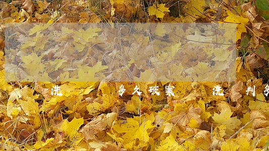 洗錢詐騙多久破案(詐騙洗錢判多久)