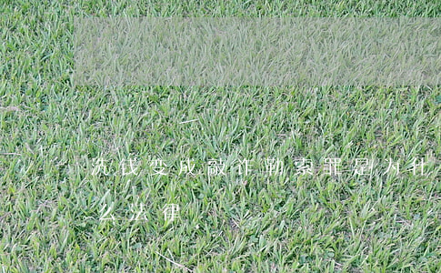 洗钱变成敲诈勒索罪是为什么(洗钱触犯了什么法律)