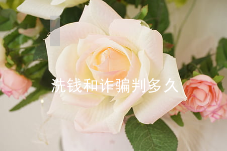 洗钱和诈骗判多久
