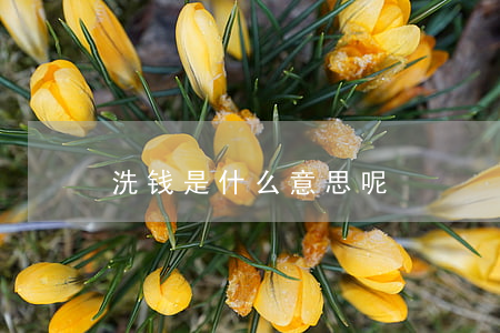 洗钱是什么意思呢