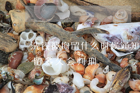 洗钱被拘留什么时候通知家属(一般洗钱被拘留多久会判刑)