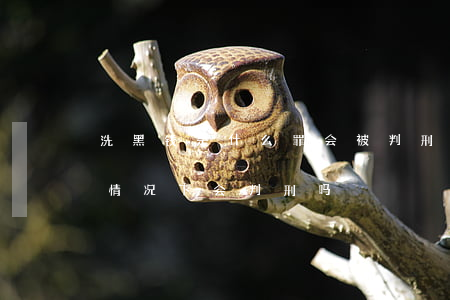 洗黑钱是什么罪会被判刑吗(洗黑钱不知道的情况下会判刑吗)