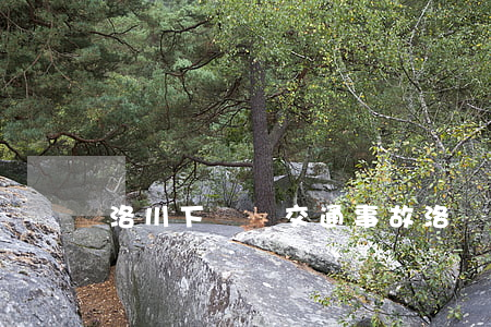 洛川下蘭莊交通事故(洛陽伊川車禍新聞)