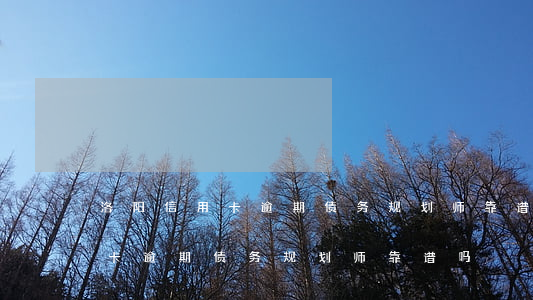 洛阳信用卡逾期债务规划师靠谱吗 洛阳信用卡逾期债务规划师靠谱吗