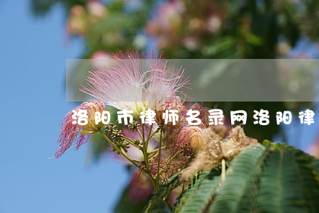 洛阳市律师名录网(洛阳律师在线咨询免费)