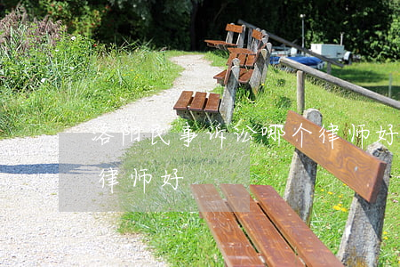 洛阳民事诉讼哪个律师好(洛阳民事诉讼哪个律师好)
